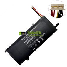 Ersättningsbatteri för HIPAA S5 XU156 F4125 5583210P 10Buckles-8Lines