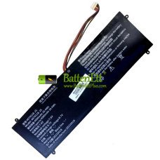 Ersättningsbatteri för PDA 10Buckles-9Lines 4674118-2S