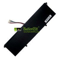 Ersättningsbatteri för PDA 12Buckles-10Lines AEC5067126