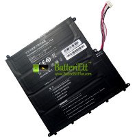 Ersättningsbatteri för PEAQ 10Buckles-7Lines UTL-4440140-2S2P